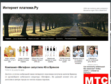 Tablet Screenshot of internet-platezhi.ru